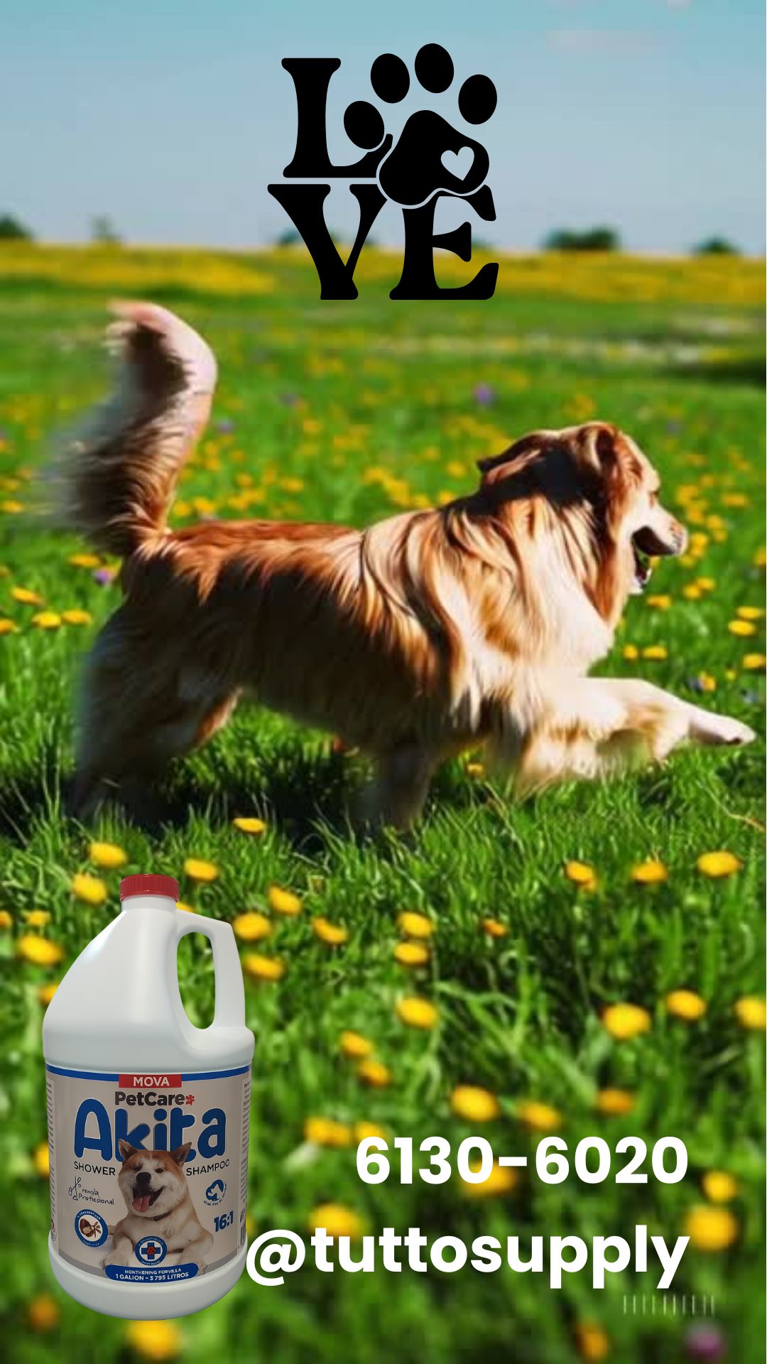 Akita™ de Mova Pet Care – El Shampoo de los Pr